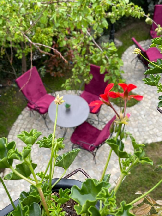 Etnomania Boutique Hotel بريشتاين المظهر الخارجي الصورة